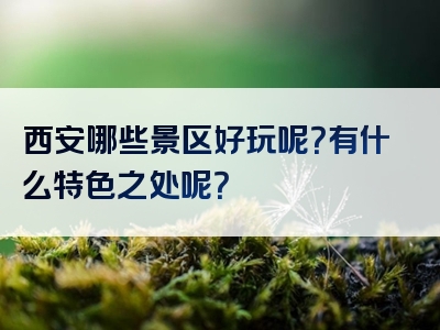 西安哪些景区好玩呢？有什么特色之处呢？