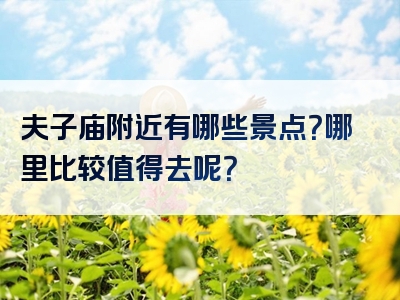 夫子庙附近有哪些景点？哪里比较值得去呢？