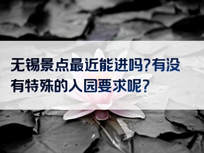 无锡景点最近能进吗？有没有特殊的入园要求呢？