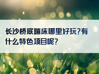 长沙桥底蹦床哪里好玩？有什么特色项目呢？