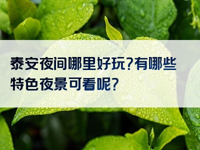 泰安夜间哪里好玩？有哪些特色夜景可看呢？