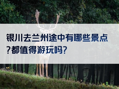 银川去兰州途中有哪些景点？都值得游玩吗？