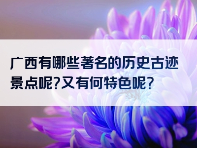 广西有哪些著名的历史古迹景点呢？又有何特色呢？
