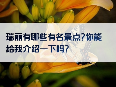 瑞丽有哪些有名景点？你能给我介绍一下吗？