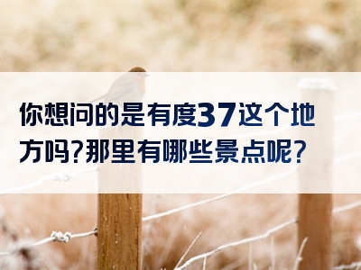 你想问的是有度37这个地方吗？那里有哪些景点呢？