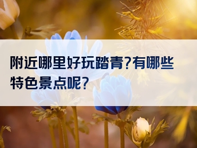 附近哪里好玩踏青？有哪些特色景点呢？