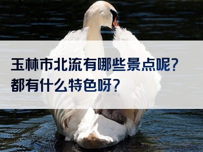 玉林市北流有哪些景点呢？都有什么特色呀？