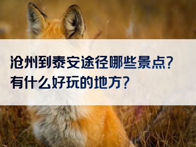 沧州到泰安途径哪些景点？有什么好玩的地方？