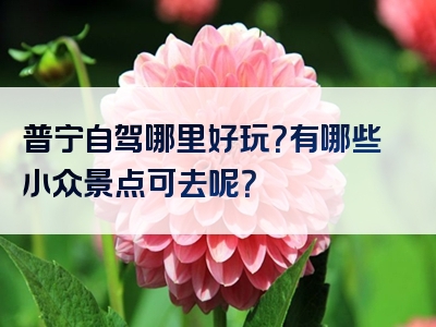普宁自驾哪里好玩？有哪些小众景点可去呢？