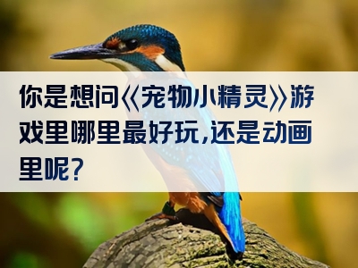 你是想问《宠物小精灵》游戏里哪里最好玩，还是动画里呢？