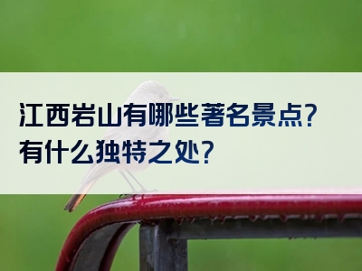 江西岩山有哪些著名景点？有什么独特之处？