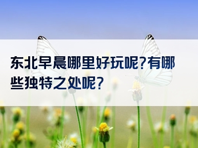 东北早晨哪里好玩呢？有哪些独特之处呢？