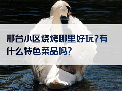 邢台小区烧烤哪里好玩？有什么特色菜品吗？