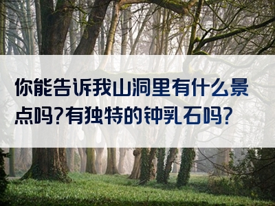你能告诉我山洞里有什么景点吗？有独特的钟乳石吗？