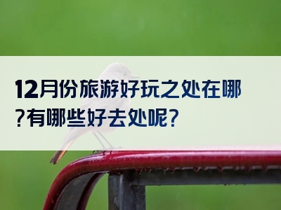 12月份旅游好玩之处在哪？有哪些好去处呢？