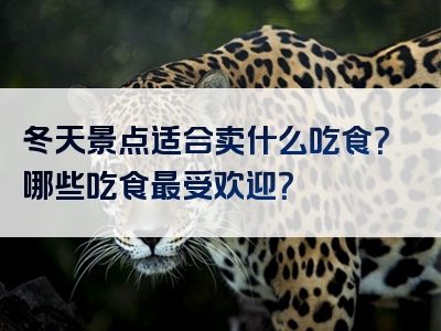 冬天景点适合卖什么吃食？哪些吃食最受欢迎？