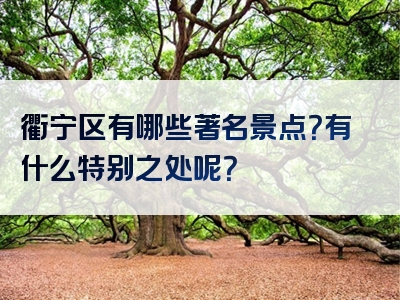 衢宁区有哪些著名景点？有什么特别之处呢？