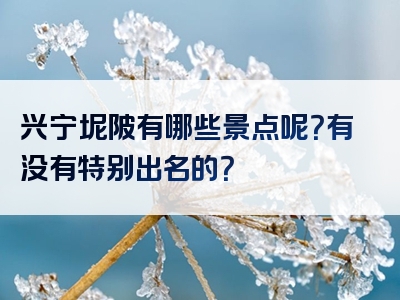 兴宁坭陂有哪些景点呢？有没有特别出名的？