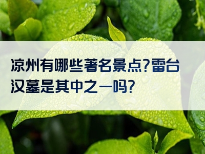 凉州有哪些著名景点？雷台汉墓是其中之一吗？