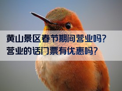 黄山景区春节期间营业吗？营业的话门票有优惠吗？