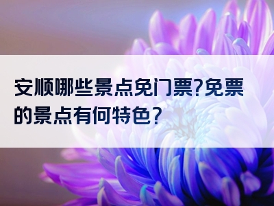 安顺哪些景点免门票？免票的景点有何特色？
