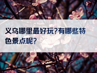义乌哪里最好玩？有哪些特色景点呢？