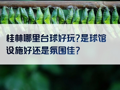 桂林哪里台球好玩？是球馆设施好还是氛围佳？