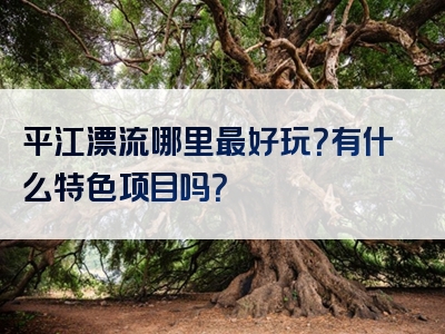 平江漂流哪里最好玩？有什么特色项目吗？