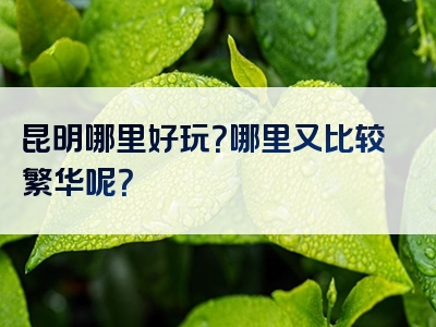 昆明哪里好玩？哪里又比较繁华呢？