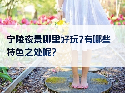 宁陵夜景哪里好玩？有哪些特色之处呢？