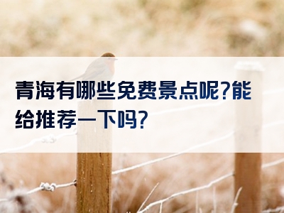 青海有哪些免费景点呢？能给推荐一下吗？