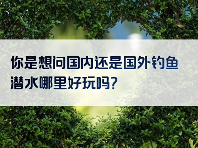 你是想问国内还是国外钓鱼潜水哪里好玩吗？