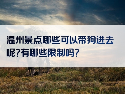 温州景点哪些可以带狗进去呢？有哪些限制吗？