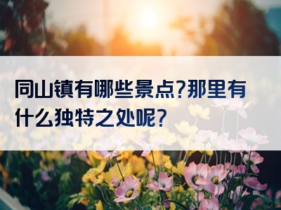 同山镇有哪些景点？那里有什么独特之处呢？