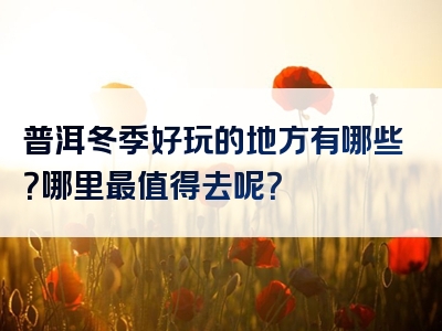 普洱冬季好玩的地方有哪些？哪里最值得去呢？