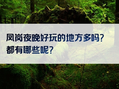 凤岗夜晚好玩的地方多吗？都有哪些呢？