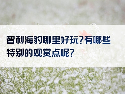 智利海豹哪里好玩？有哪些特别的观赏点呢？