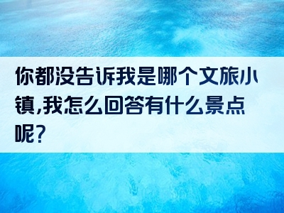 你都没告诉我是哪个文旅小镇，我怎么回答有什么景点呢？