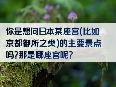 你是想问日本某座宫（比如京都御所之类）的主要景点吗？那是哪座宫呢？