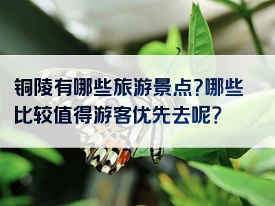 铜陵有哪些旅游景点？哪些比较值得游客优先去呢？