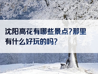 沈阳高花有哪些景点？那里有什么好玩的吗？