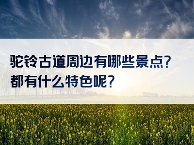 驼铃古道周边有哪些景点？都有什么特色呢？