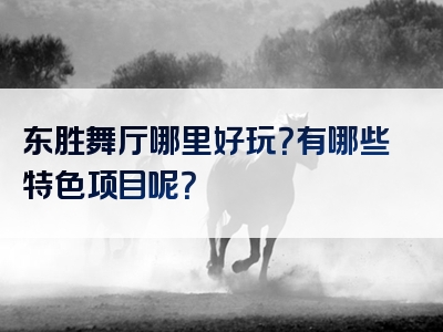 东胜舞厅哪里好玩？有哪些特色项目呢？