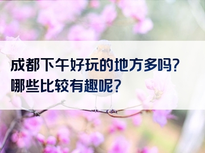 成都下午好玩的地方多吗？哪些比较有趣呢？
