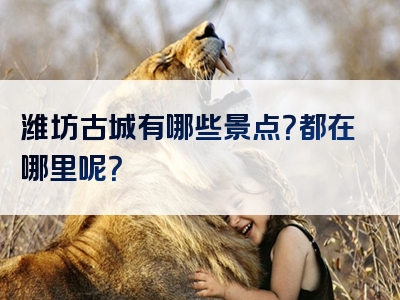 潍坊古城有哪些景点？都在哪里呢？