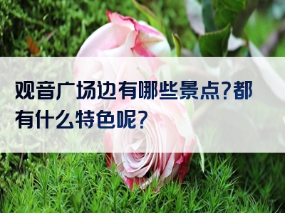 观音广场边有哪些景点？都有什么特色呢？