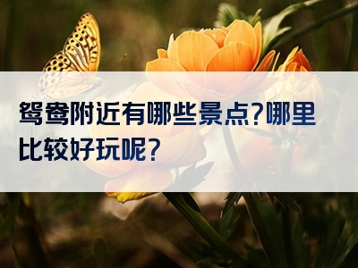 鸳鸯附近有哪些景点？哪里比较好玩呢？