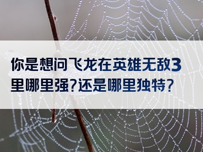 你是想问飞龙在英雄无敌3里哪里强？还是哪里独特？