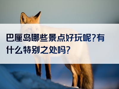 巴厘岛哪些景点好玩呢？有什么特别之处吗？