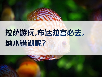 拉萨游玩，布达拉宫必去，纳木错湖呢？
